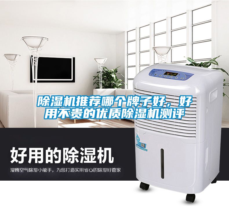 除濕機(jī)推薦哪個(gè)牌子好，好用不貴的優(yōu)質(zhì)除濕機(jī)測(cè)評(píng)