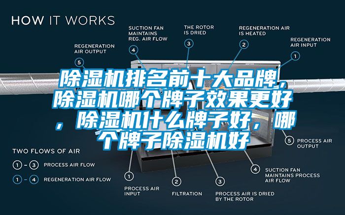 除濕機(jī)排名前十大品牌，除濕機(jī)哪個(gè)牌子效果更好，除濕機(jī)什么牌子好，哪個(gè)牌子除濕機(jī)好