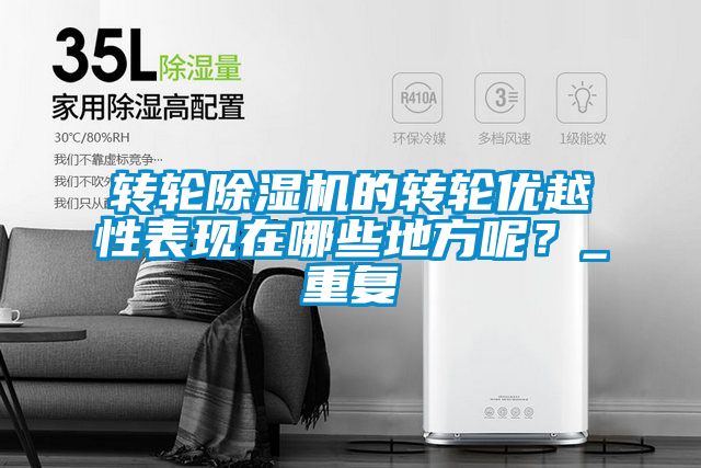 轉(zhuǎn)輪除濕機(jī)的轉(zhuǎn)輪優(yōu)越性表現(xiàn)在哪些地方呢？_重復(fù)