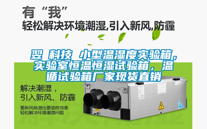 翌昇科技 小型溫濕度實(shí)驗(yàn)箱，實(shí)驗(yàn)室恒溫恒濕試驗(yàn)箱，溫循試驗(yàn)箱廠家現(xiàn)貨直銷