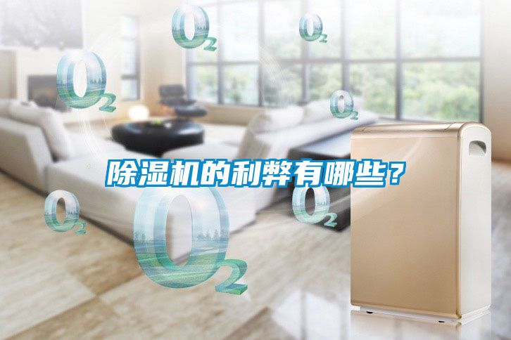 除濕機(jī)的利弊有哪些？