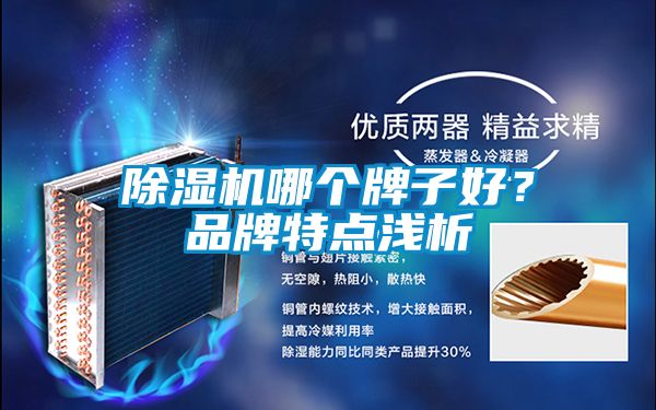 除濕機(jī)哪個(gè)牌子好？品牌特點(diǎn)淺析