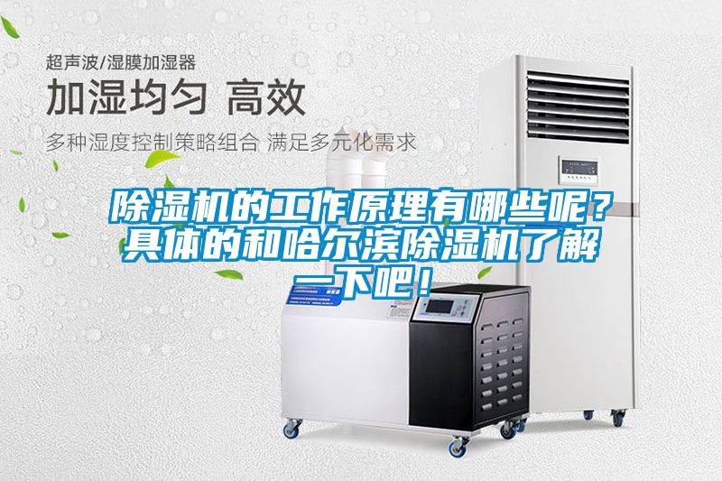 除濕機(jī)的工作原理有哪些呢？具體的和哈爾濱除濕機(jī)了解一下吧！