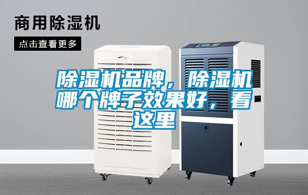 除濕機品牌，除濕機哪個牌子效果好，看這里