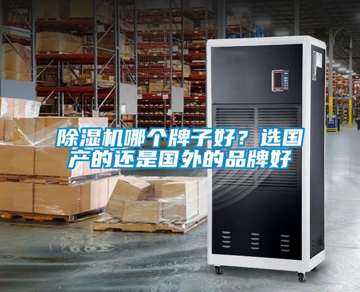 除濕機(jī)哪個牌子好？選國產(chǎn)的還是國外的品牌好