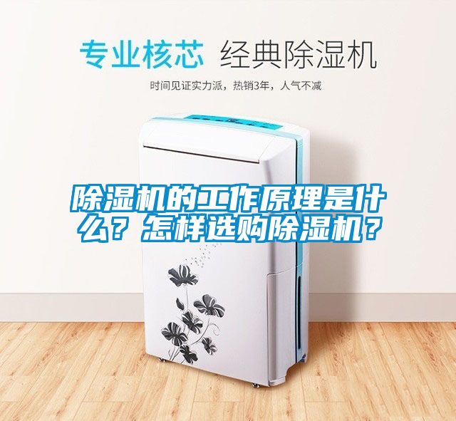 除濕機(jī)的工作原理是什么？怎樣選購(gòu)除濕機(jī)？