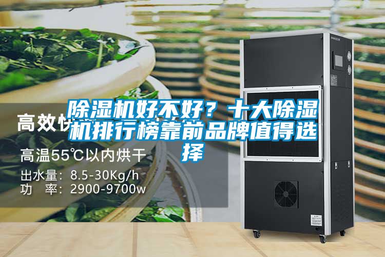 除濕機(jī)好不好？十大除濕機(jī)排行榜靠前品牌值得選擇