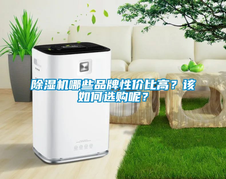 除濕機(jī)哪些品牌性價(jià)比高？該如何選購(gòu)呢？