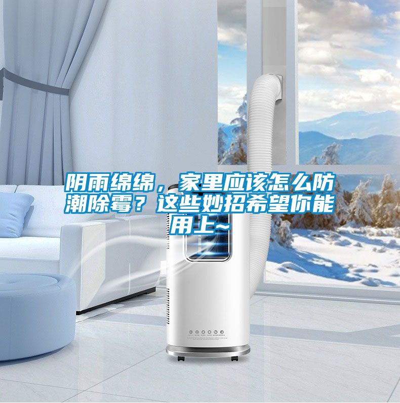 陰雨綿綿，家里應(yīng)該怎么防潮除霉？這些妙招希望你能用上~