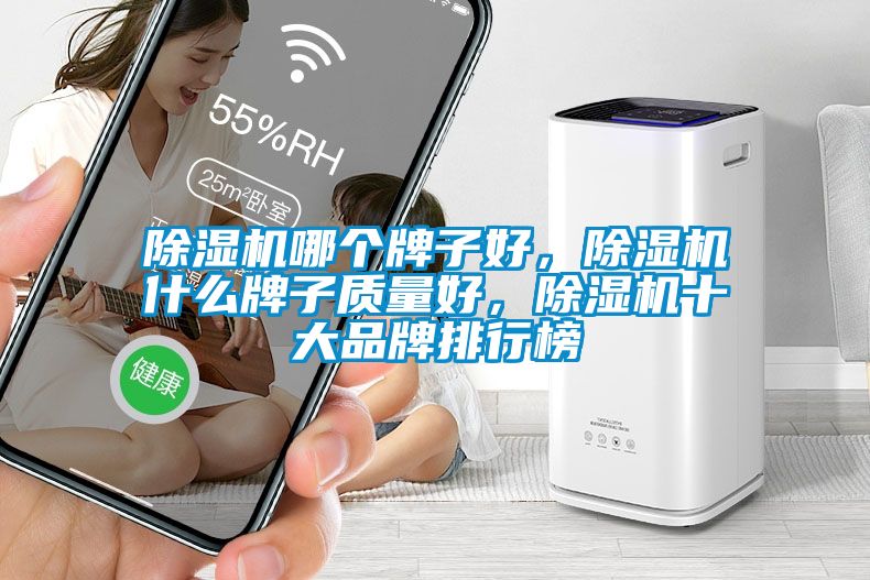 除濕機(jī)哪個(gè)牌子好，除濕機(jī)什么牌子質(zhì)量好，除濕機(jī)十大品牌排行榜