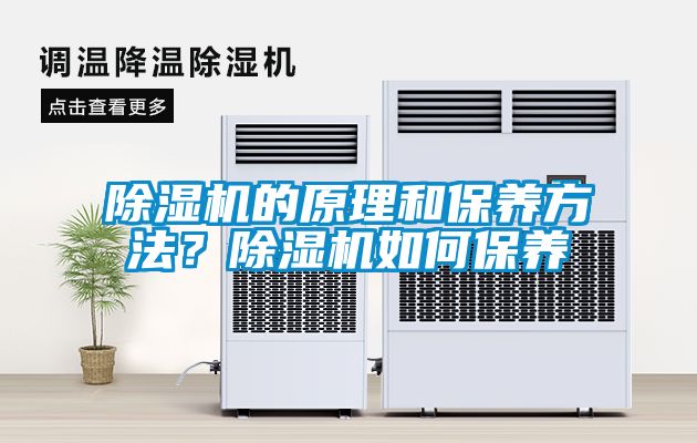 除濕機(jī)的原理和保養(yǎng)方法？除濕機(jī)如何保養(yǎng)