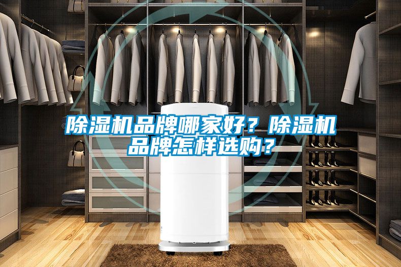 除濕機品牌哪家好？除濕機品牌怎樣選購？