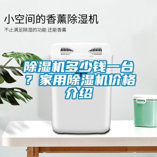 除濕機(jī)多少錢一臺(tái)？家用除濕機(jī)價(jià)格介紹