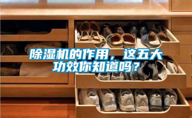 除濕機(jī)的作用，這五大功效你知道嗎？