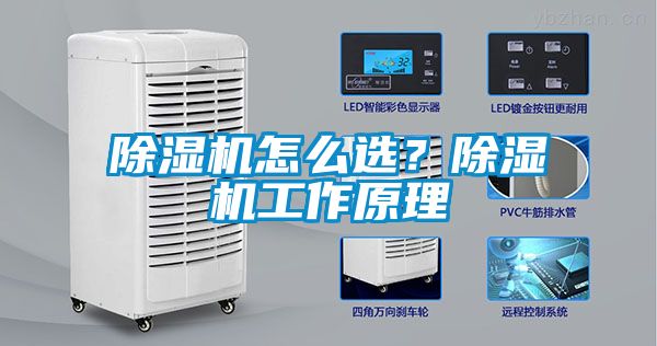 除濕機怎么選？除濕機工作原理