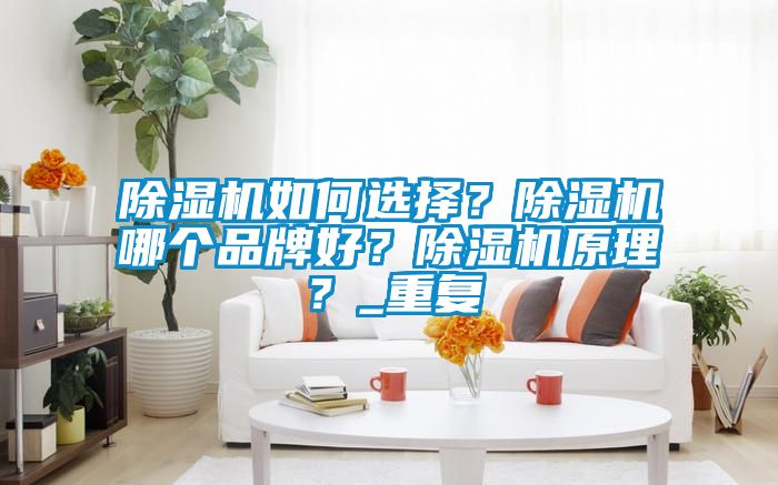 除濕機如何選擇？除濕機哪個品牌好？除濕機原理？_重復