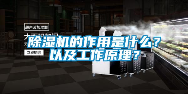 除濕機(jī)的作用是什么？以及工作原理？