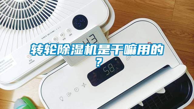 轉(zhuǎn)輪除濕機是干嘛用的？