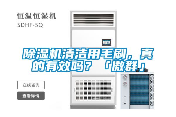 除濕機清潔用毛刷，真的有效嗎？「傲群」