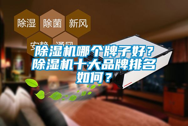 除濕機哪個牌子好？除濕機十大品牌排名如何？