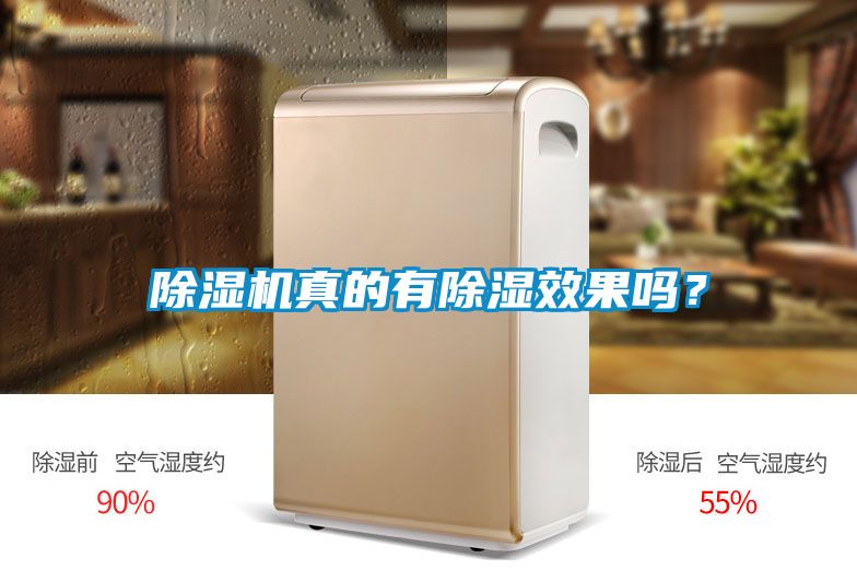 除濕機(jī)真的有除濕效果嗎？