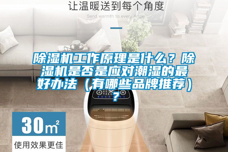 除濕機(jī)工作原理是什么？除濕機(jī)是否是應(yīng)對潮濕的最好辦法（有哪些品牌推薦）？