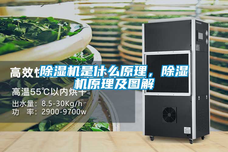 除濕機(jī)是什么原理，除濕機(jī)原理及圖解