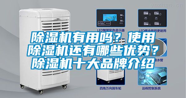 除濕機(jī)有用嗎？使用除濕機(jī)還有哪些優(yōu)勢(shì)？除濕機(jī)十大品牌介紹