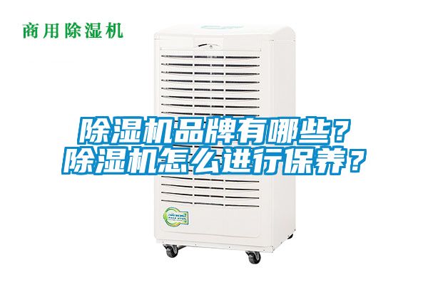 除濕機品牌有哪些？除濕機怎么進行保養(yǎng)？