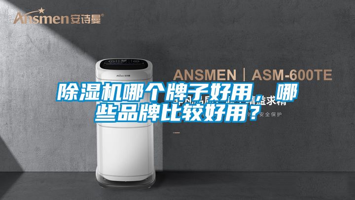 除濕機哪個牌子好用，哪些品牌比較好用？
