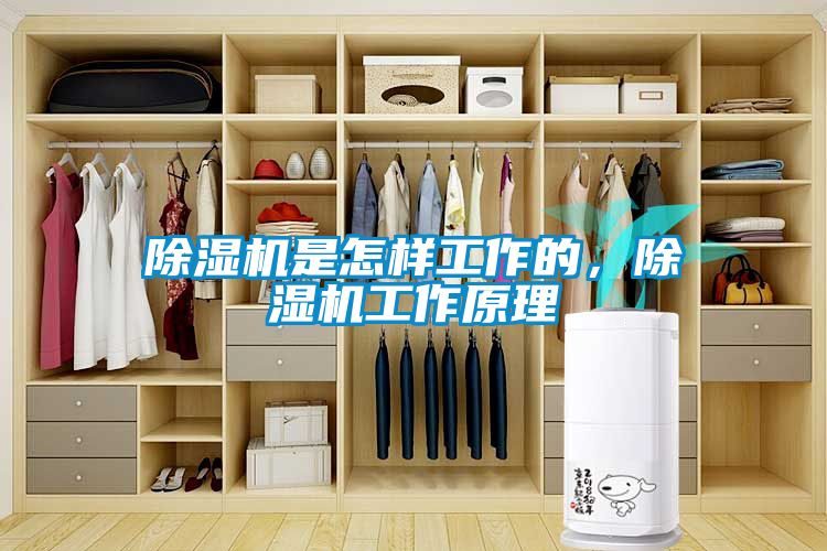 除濕機是怎樣工作的，除濕機工作原理