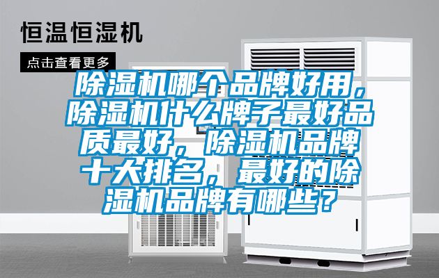 除濕機(jī)哪個(gè)品牌好用，除濕機(jī)什么牌子最好品質(zhì)最好，除濕機(jī)品牌十大排名，最好的除濕機(jī)品牌有哪些？