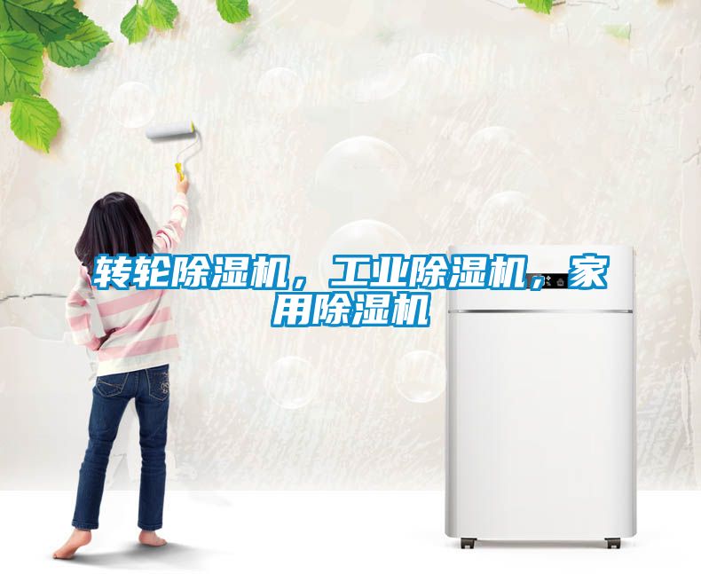 轉(zhuǎn)輪除濕機，工業(yè)除濕機，家用除濕機