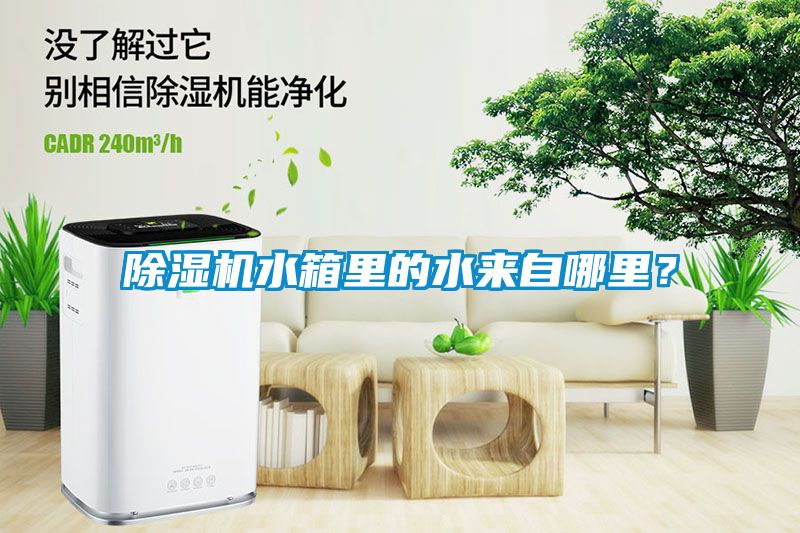 除濕機水箱里的水來自哪里？