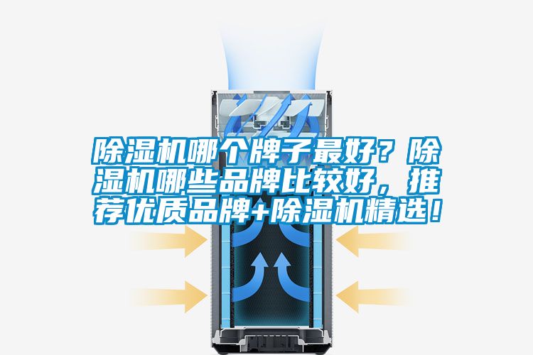 除濕機(jī)哪個(gè)牌子最好？除濕機(jī)哪些品牌比較好，推薦優(yōu)質(zhì)品牌+除濕機(jī)精選！
