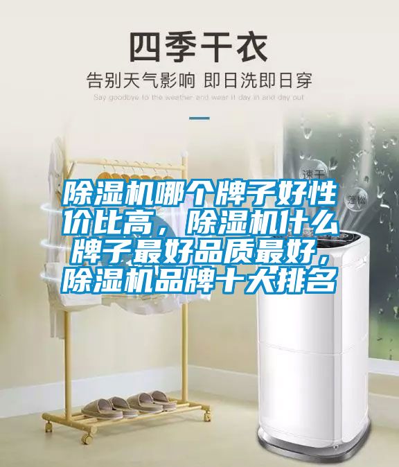 除濕機哪個牌子好性價比高，除濕機什么牌子最好品質(zhì)最好，除濕機品牌十大排名