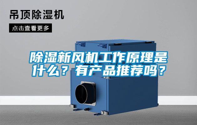 除濕新風機工作原理是什么？有產(chǎn)品推薦嗎？