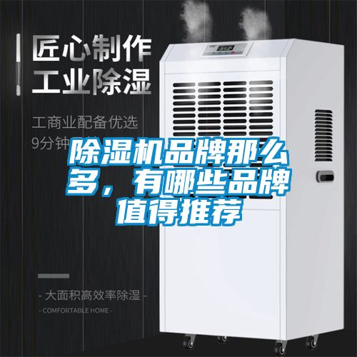 除濕機品牌那么多，有哪些品牌值得推薦
