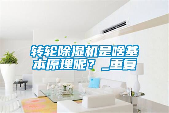 轉(zhuǎn)輪除濕機是啥基本原理呢？_重復(fù)