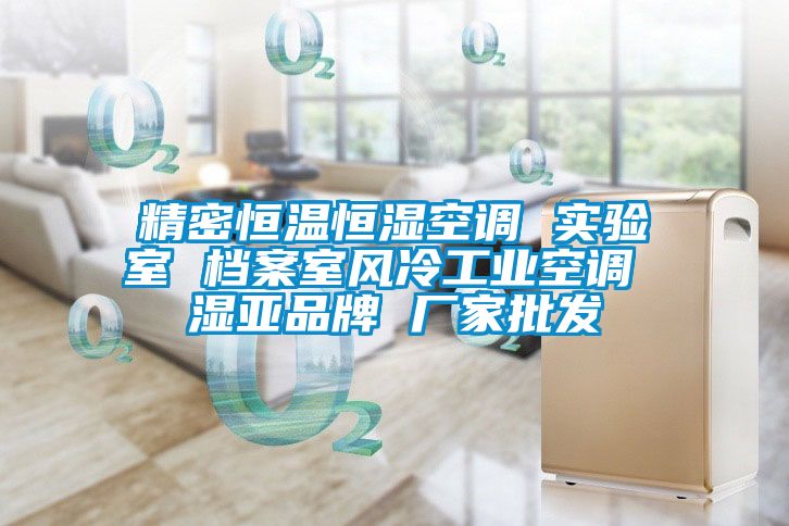 精密恒溫恒濕空調 實驗室 檔案室風冷工業(yè)空調 濕亞品牌 廠家批發(fā)