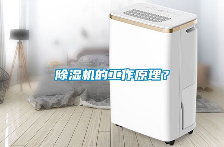 除濕機(jī)的工作原理？