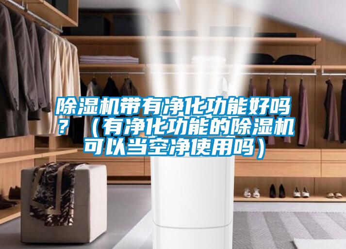 除濕機(jī)帶有凈化功能好嗎？（有凈化功能的除濕機(jī)可以當(dāng)空凈使用嗎）