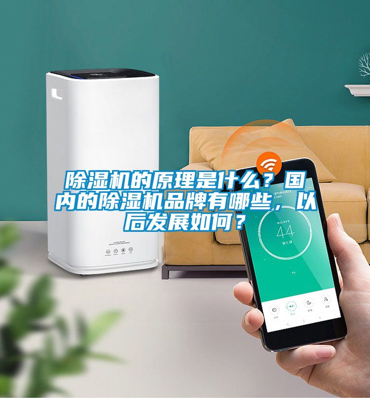 除濕機(jī)的原理是什么？國(guó)內(nèi)的除濕機(jī)品牌有哪些，以后發(fā)展如何？