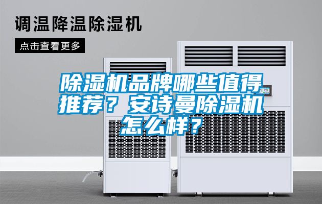 除濕機品牌哪些值得推薦？安詩曼除濕機怎么樣？
