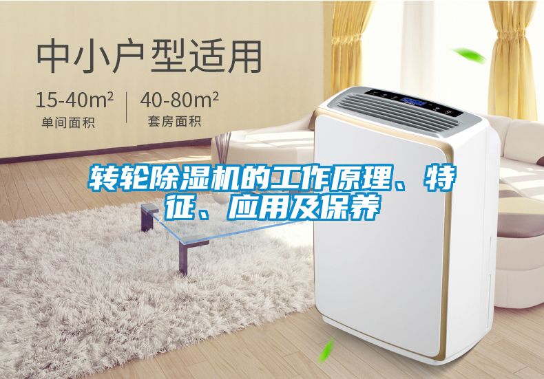 轉(zhuǎn)輪除濕機(jī)的工作原理、特征、應(yīng)用及保養(yǎng)