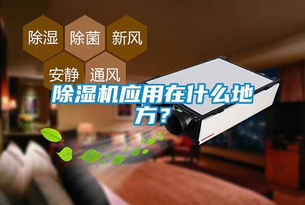 除濕機(jī)應(yīng)用在什么地方？
