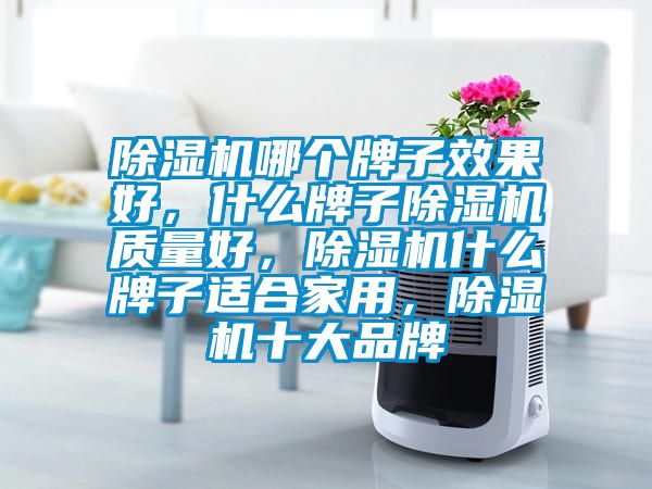 除濕機(jī)哪個(gè)牌子效果好，什么牌子除濕機(jī)質(zhì)量好，除濕機(jī)什么牌子適合家用，除濕機(jī)十大品牌