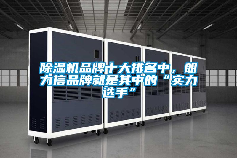 除濕機(jī)品牌十大排名中，朗力信品牌就是其中的“實(shí)力選手”