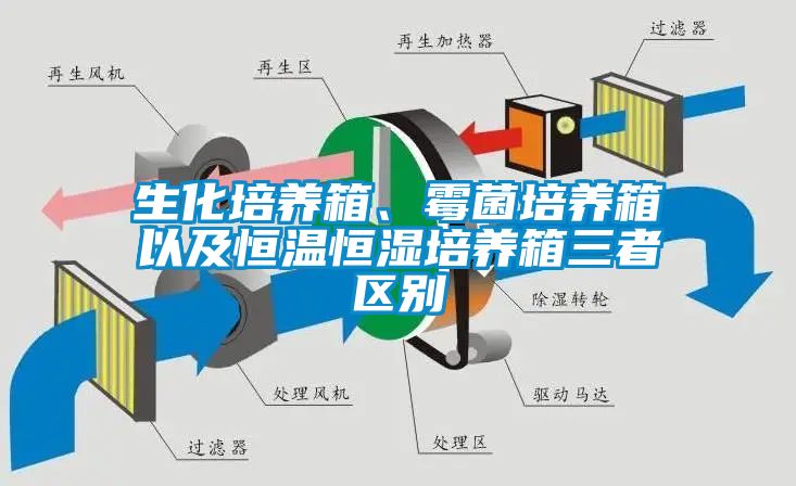 生化培養(yǎng)箱、霉菌培養(yǎng)箱以及恒溫恒濕培養(yǎng)箱三者區(qū)別