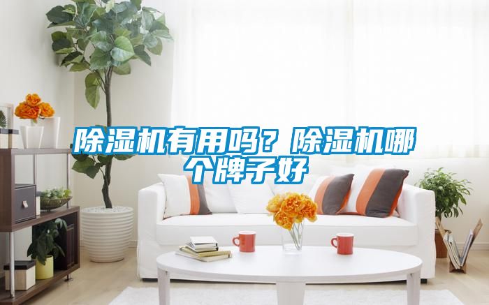 除濕機(jī)有用嗎？除濕機(jī)哪個(gè)牌子好